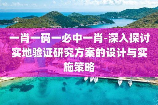 一肖一码一必中一肖-深入探讨实地验证研究方案的设计与实施策略