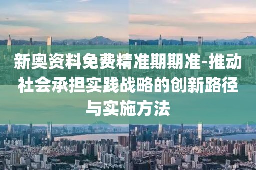 新奥资料免费精准期期准-推动社会承担实践战略的创新路径与实施方法