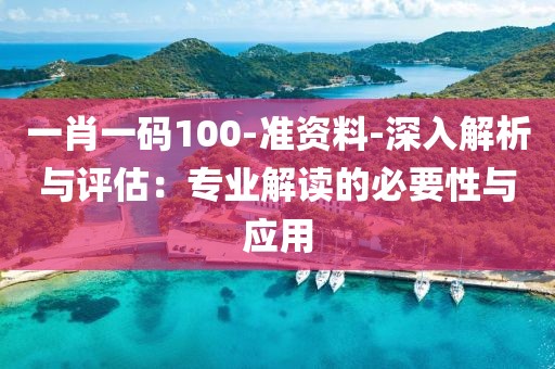 一肖一码100-准资料-深入解析与评估：专业解读的必要性与应用