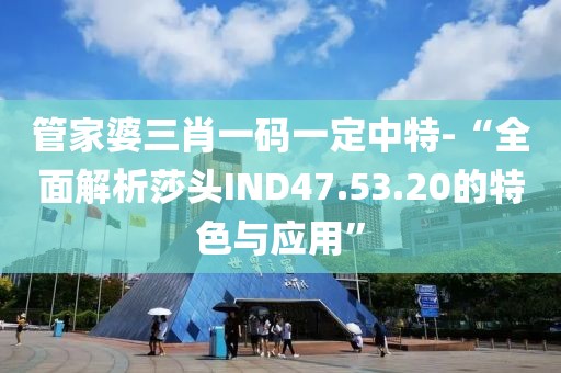 管家婆三肖一码一定中特-“全面解析莎头IND47.53.20的特色与应用”