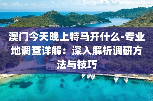 澳门今天晚上特马开什么-专业地调查详解：深入解析调研方法与技巧