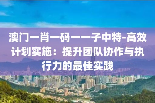 澳门一肖一码一一子中特-高效计划实施：提升团队协作与执行力的最佳实践