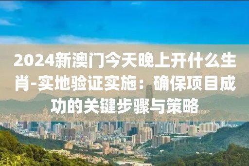 2024新澳门今天晚上开什么生肖-实地验证实施：确保项目成功的关键步骤与策略