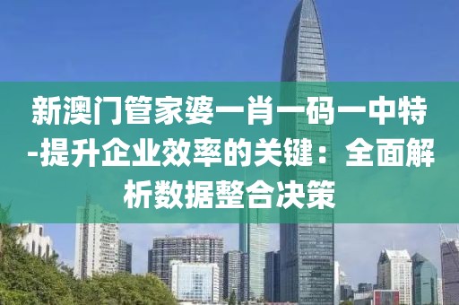 新澳门管家婆一肖一码一中特-提升企业效率的关键：全面解析数据整合决策