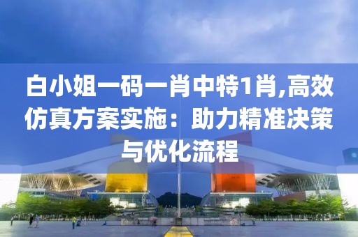 白小姐一码一肖中特1肖,高效仿真方案实施：助力精准决策与优化流程