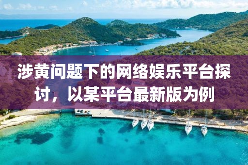 涉黄问题下的网络娱乐平台探讨，以某平台最新版为例