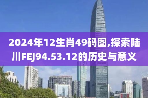 2024年12生肖49码图,探索陆川FEJ94.53.12的历史与意义