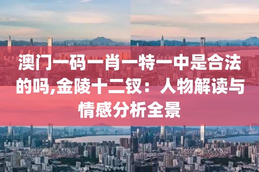 澳门一码一肖一特一中是合法的吗,金陵十二钗：人物解读与情感分析全景