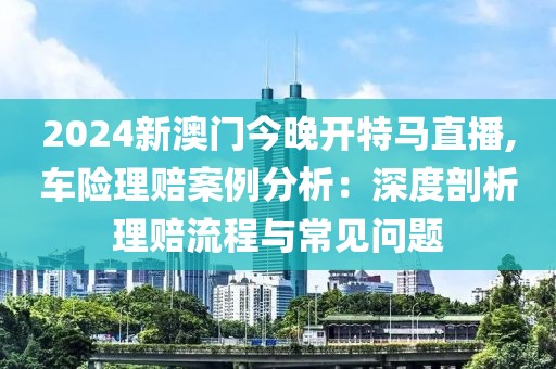 2024新澳门今晚开特马直播,车险理赔案例分析：深度剖析理赔流程与常见问题