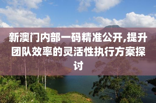 新澳门内部一码精准公开,提升团队效率的灵活性执行方案探讨