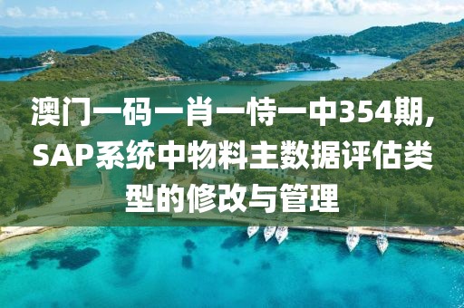 澳门一码一肖一恃一中354期,SAP系统中物料主数据评估类型的修改与管理