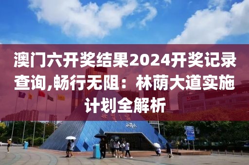 澳门六开奖结果2024开奖记录查询,畅行无阻：林荫大道实施计划全解析