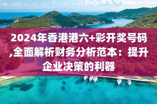 2024年香港港六+彩开奖号码,全面解析财务分析范本：提升企业决策的利器