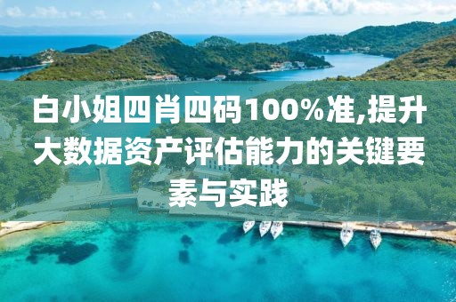 白小姐四肖四码100%准,提升大数据资产评估能力的关键要素与实践