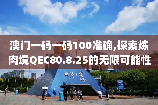 澳门一码一码100准确,探索炼肉境QEC80.8.25的无限可能性