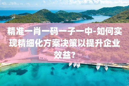 精准一肖一码一子一中-如何实现精细化方案决策以提升企业效益？