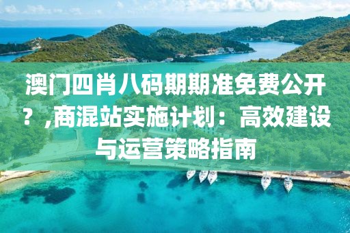 澳门四肖八码期期准免费公开？,商混站实施计划：高效建设与运营策略指南