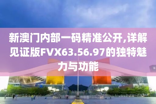 新澳门内部一码精准公开,详解见证版FVX63.56.97的独特魅力与功能