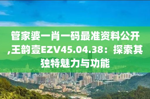 管家婆一肖一码最准资料公开,王韵壹EZV45.04.38：探索其独特魅力与功能