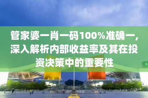 管家婆一肖一码100%准确一,深入解析内部收益率及其在投资决策中的重要性