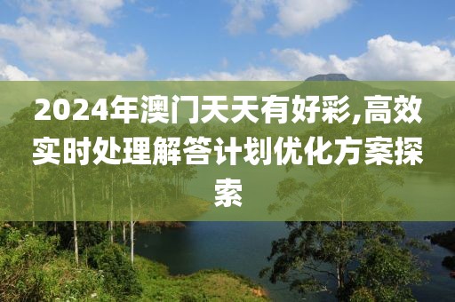 2024年澳门天天有好彩,高效实时处理解答计划优化方案探索