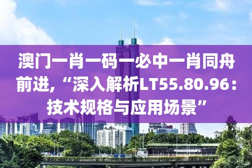 澳门一肖一码一必中一肖同舟前进,“深入解析LT55.80.96：技术规格与应用场景”