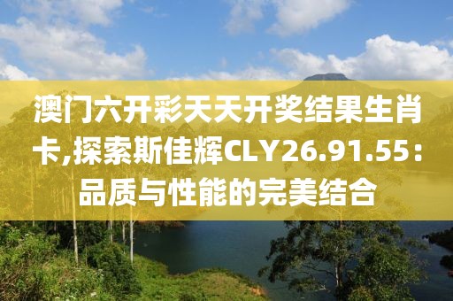 澳门六开彩天天开奖结果生肖卡,探索斯佳辉CLY26.91.55：品质与性能的完美结合