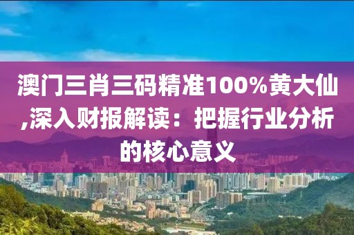 澳门三肖三码精准100%黄大仙,深入财报解读：把握行业分析的核心意义