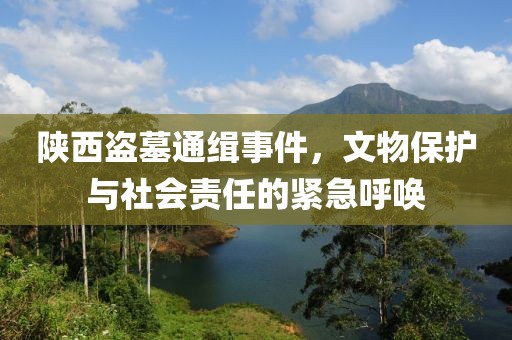 陕西盗墓通缉事件，文物保护与社会责任的紧急呼唤