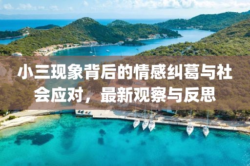 小三现象背后的情感纠葛与社会应对，最新观察与反思