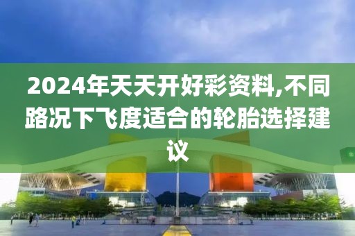 2024年天天开好彩资料,不同路况下飞度适合的轮胎选择建议