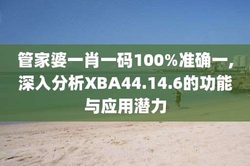 管家婆一肖一码100%准确一,深入分析XBA44.14.6的功能与应用潜力