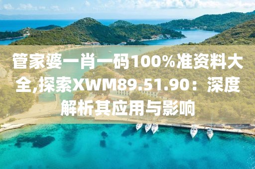 管家婆一肖一码100%准资料大全,探索XWM89.51.90：深度解析其应用与影响