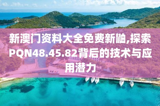 新澳门资料大全免费新鼬,探索PQN48.45.82背后的技术与应用潜力