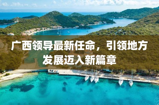 广西领导最新任命，引领地方发展迈入新篇章