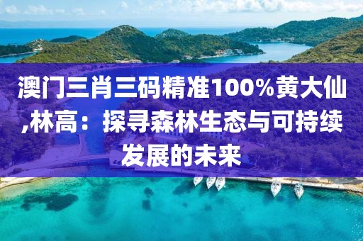 澳门三肖三码精准100%黄大仙,林高：探寻森林生态与可持续发展的未来