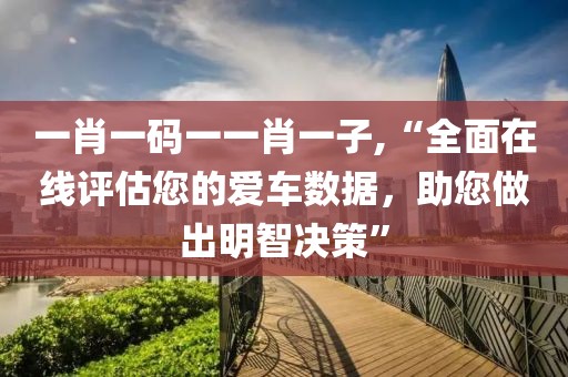 一肖一码一一肖一子,“全面在线评估您的爱车数据，助您做出明智决策”