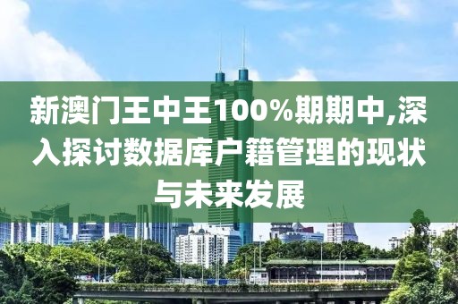 新澳门王中王100%期期中,深入探讨数据库户籍管理的现状与未来发展