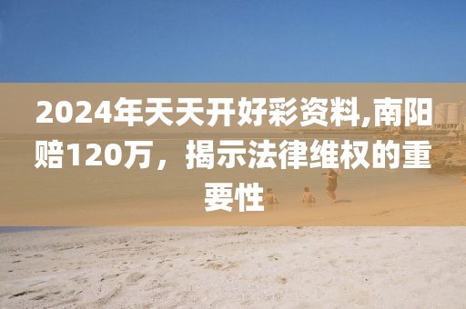 2024年天天开好彩资料,南阳赔120万，揭示法律维权的重要性