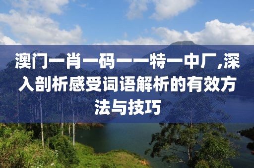 澳门一肖一码一一特一中厂,深入剖析感受词语解析的有效方法与技巧