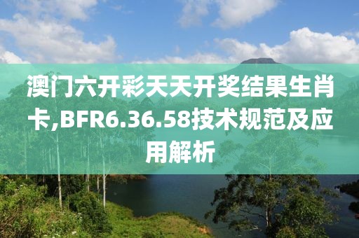 澳门六开彩天天开奖结果生肖卡,BFR6.36.58技术规范及应用解析