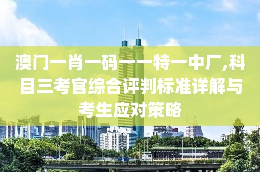 澳门一肖一码一一特一中厂,科目三考官综合评判标准详解与考生应对策略