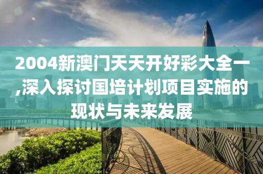 2004新澳门天天开好彩大全一,深入探讨国培计划项目实施的现状与未来发展