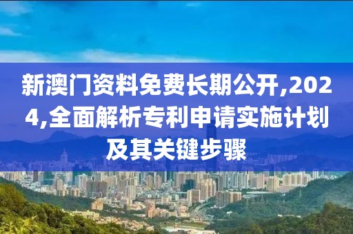 新澳门资料免费长期公开,2024,全面解析专利申请实施计划及其关键步骤