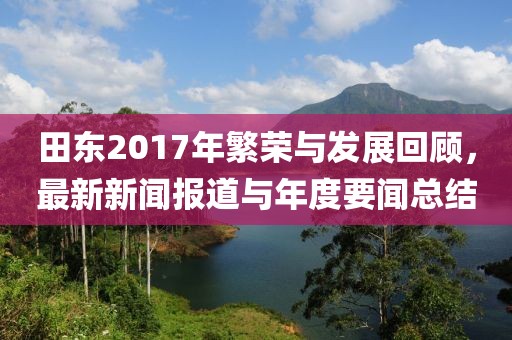 田东2017年繁荣与发展回顾，最新新闻报道与年度要闻总结