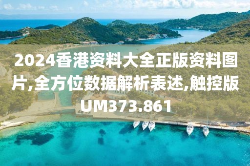 2024香港资料大全正版资料图片,全方位数据解析表述,触控版UM373.861