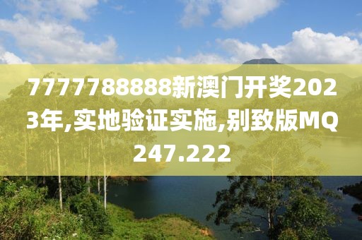 7777788888新澳门开奖2023年,实地验证实施,别致版MQ247.222