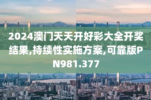 2024澳门天天开好彩大全开奖结果,持续性实施方案,可靠版PN981.377