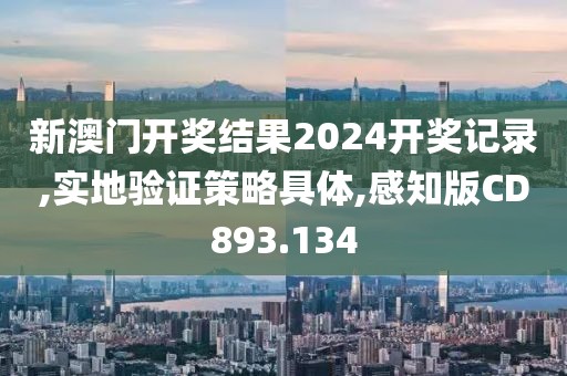 新澳门开奖结果2024开奖记录,实地验证策略具体,感知版CD893.134