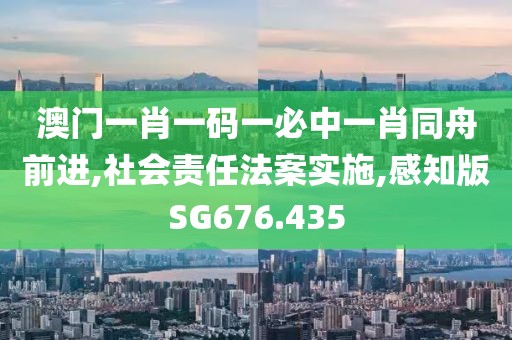 澳门一肖一码一必中一肖同舟前进,社会责任法案实施,感知版SG676.435